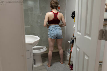 toilet spy cam. Photo #2