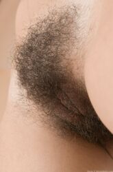 hairy indian pussy gallery. Photo #6